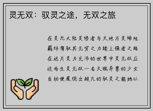 灵无双：驭灵之途，无双之旅